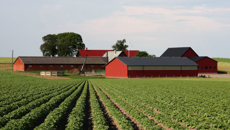 farm business