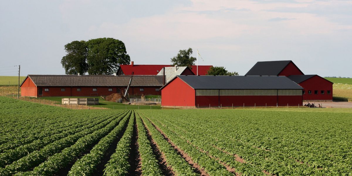 farm business